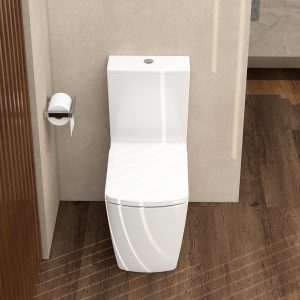 Ravine Rimless, Comfort Height Close Coupled Closed Back pan in white (excluding cistern)