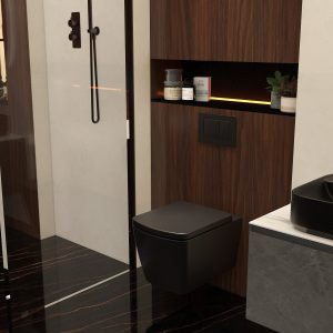 Ravine Rimless Wall Hung Pan in Black