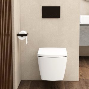 Ravine Toilets - round flush button matt black