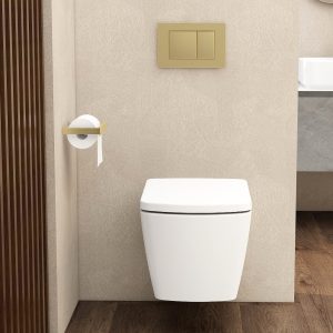 Ravine Toilets - square flush button brass