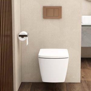 Ravine Toilets - square flush button bronze