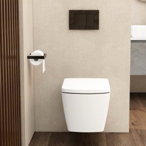 Ravine Toilets - square flush button gun metal