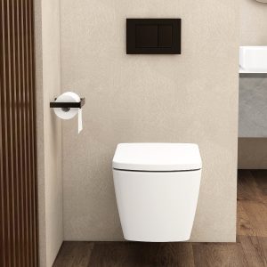 Ravine Toilets - square flush button matt black
