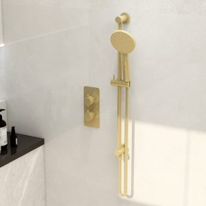 Shower pack including round slide rail with integrated wall outlet elbow, Ravine multifunction handset and smooth hose in brushed brass